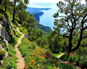 Ancona: Quali sentieri esplorare sul Monte Conero?