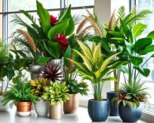 Piante artificiali: pratiche e senza manutenzione