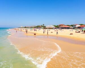 Rimini: Quali spiagge scegliere per una vacanza estiva?