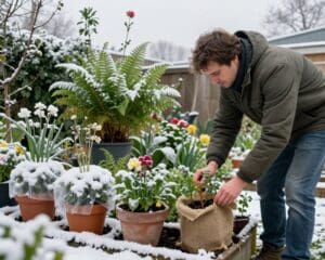 proteggere le piante in inverno